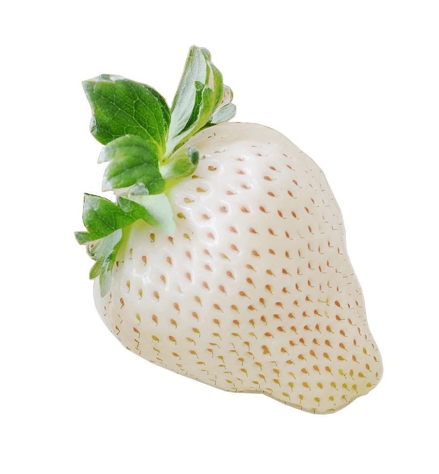 White Strawberry Png Free Image